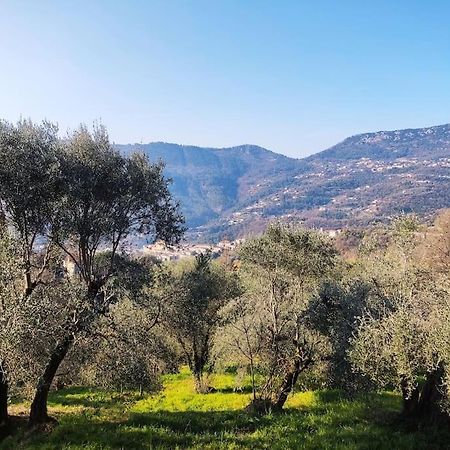 Bas De Villa. Cote D'Azur, A 20 Kms De Nice Contes  Luaran gambar