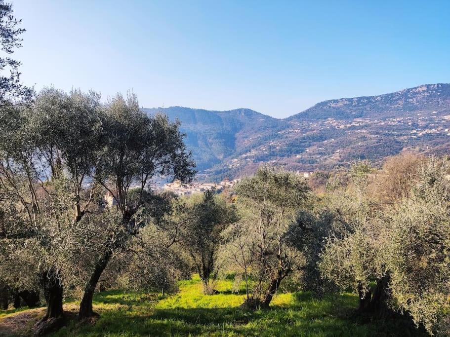 Bas De Villa. Cote D'Azur, A 20 Kms De Nice Contes  Luaran gambar
