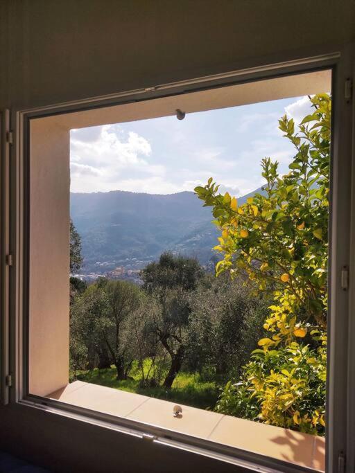 Bas De Villa. Cote D'Azur, A 20 Kms De Nice Contes  Luaran gambar